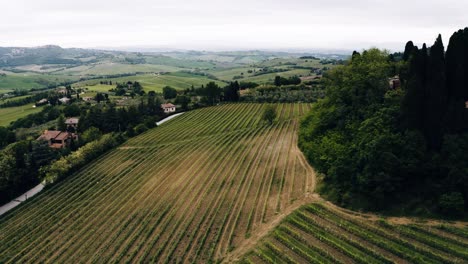 Aerial-view-of-Italy's-Tuscan-countryside-covered-in-wine-vineyards