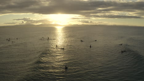 4k static drone shot of a big group of people surfing during sunset at byron bay, australia