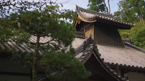 japanese traditional background with temple roof and pine trees in kiyomizu