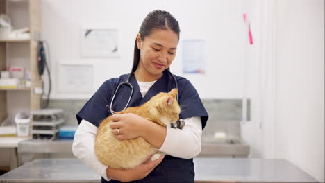 Gesicht,-Tierarzt-Und-Glückliche-Frau-Mit-Haustierkatze-Zur-Pflege