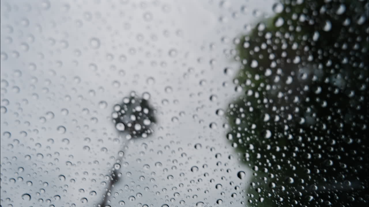 Close up o rain drops on a window with a view of trees and a cloudy sky