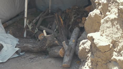 stack of cut olive tree branches to fuel tandoor oven