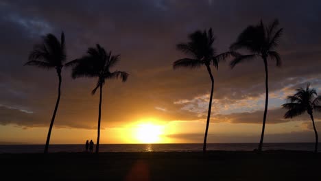 puesta de sol con palmeras en hawaii