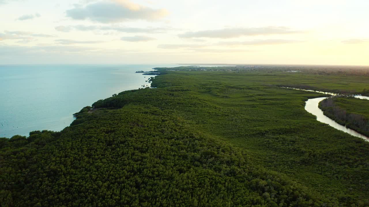 Dense mangroves stretch along Biscayne Bay as a winding tidal creek reflects warm sunset light, creating a tranquil tropical landscape at Matheson Hammock Park on Miami’s southeast coastline