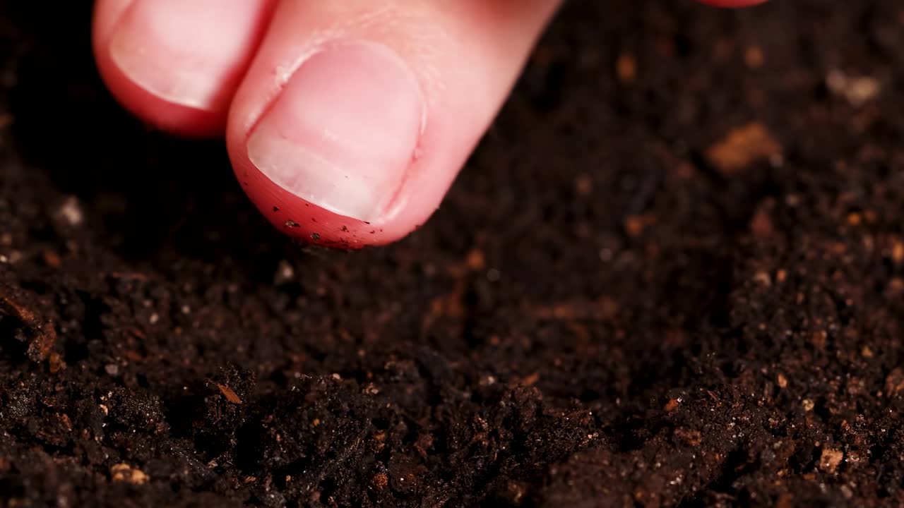 Fingers gently plant a seed in rich, dark soil, followed by watering. Detailed close-up of the planting process.
