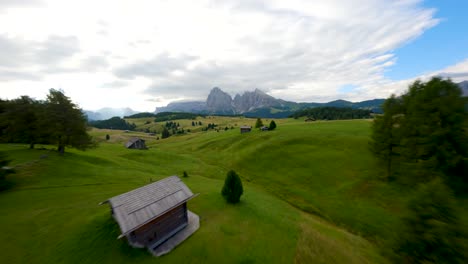 riprese aeree di droni fpv che volano velocemente tra alberi e cottage nell'altopiano dell'alpe di siusi, seiser alm meadows mattina nuvolosa nelle montagne dolomitiche, alpi italiane