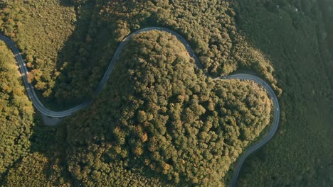 aerial high angle view drone footage of cars driving on a heart-shaped winding road in the middle of a forest