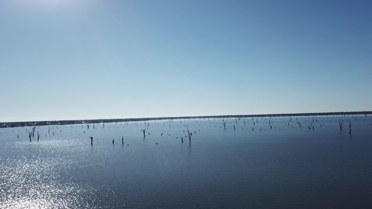 여름날 태양 광선으로 죽은 나무가 있는 호수 위로 드론 공중 팬