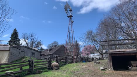 disparo estático de un viejo molino de viento de metal y un cielo azul brillante en una pequeña granja con ovejas descansando una hierba de comer