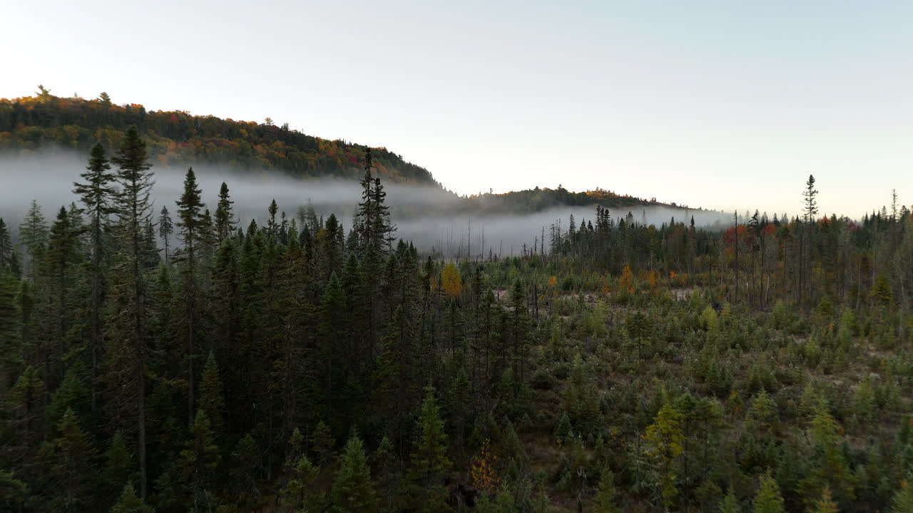 Aerial view of autumn forest and mountains in vivid colors with morning fog in Mauricie, Quebec, Canada. Soft sunlight illuminates the colorful foliage over peaceful wilderness