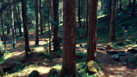 man in mountains between trees with trekking poles and backpacks