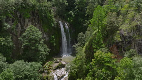 stunning waterfall in a lush green mountain forest