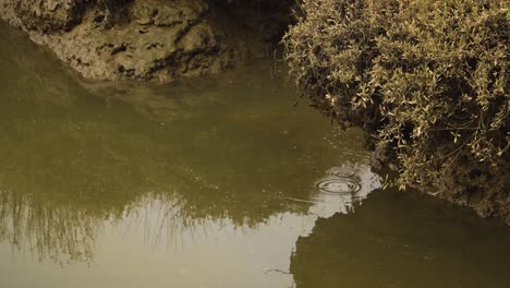 Lecho-De-Río-Fangoso-De-4k-En-Marea-Baja-Con-Un-Poco-De-Agua-Que-Fluye-Río-Abajo-Hacia-El-Océano