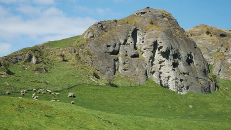 Ganado-Pastando-En-Campo-Verde-Bajo-Acantilados-De-Montaña-En-El-Campo-De-Tierras-De-Cultivo-De-Nueva-Zelanda