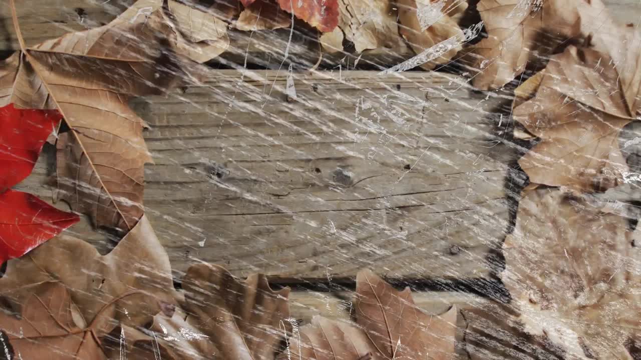 나무 바탕에 잎 위에 색 모양의 애니메이션.