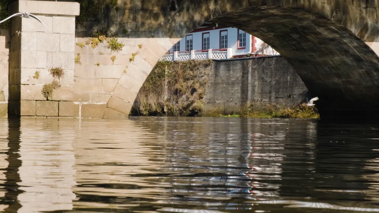 날아다니는 갈매기와 아치, 동물군과의 건축 통합, 4k 샷