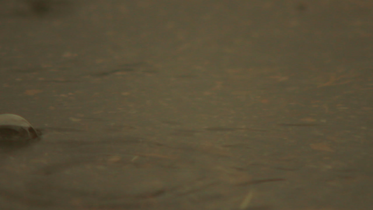 비가 오는 동안 웅덩이에 있는 거품을 닫습니다