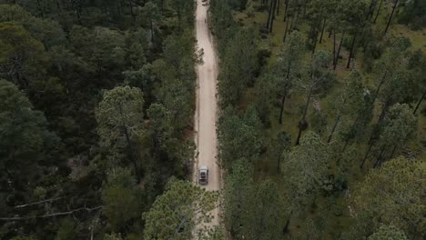 vista aérea de arriba hacia abajo de la conducción en jeep a lo largo de la carretera a través del bosque hasta la cima de la montaña, toma de seguimiento