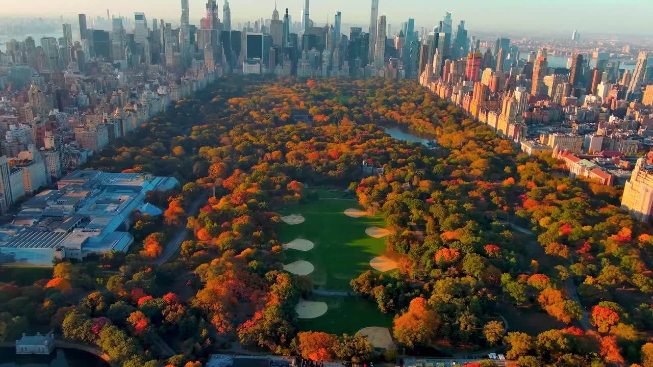 Central Park greenery in autumn with Manhattan skyline in daylight
