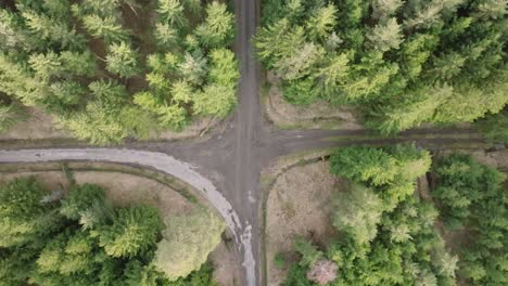 Aerial-view-of-two-intersecting-roads-at-a-fork-in-a-dense-coniferous-forest