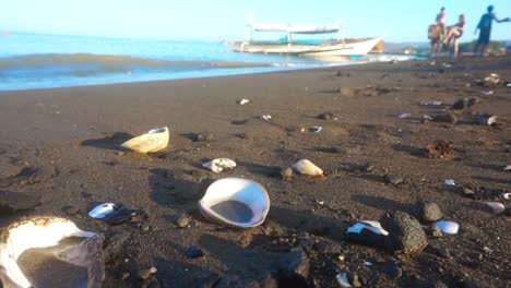 shells on the beach and the waves are crashing