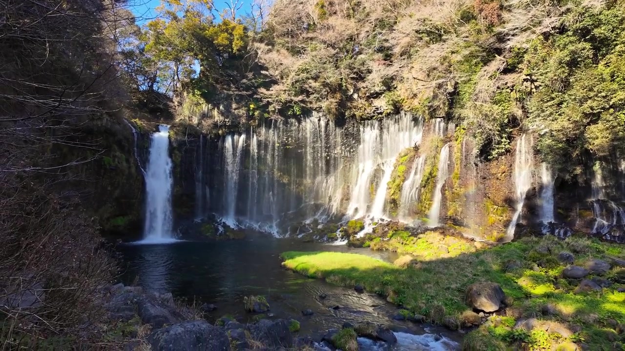 Uma tomada ampla das icônicas Cataratas Shiraito no Japão, apresentando centenas de finos riachos brancos caindo em cascata por um penhasco musgoso em uma bacia límpida cercada por uma exuberante floresta verde.