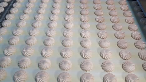 sweet tender marshmallow moves on a conveyor belt. automatic sweets production line at a candy factory
