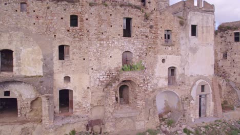 Donkeys-standing-in-front-of-stone-ruins-Craco-in-Italy,-aerial