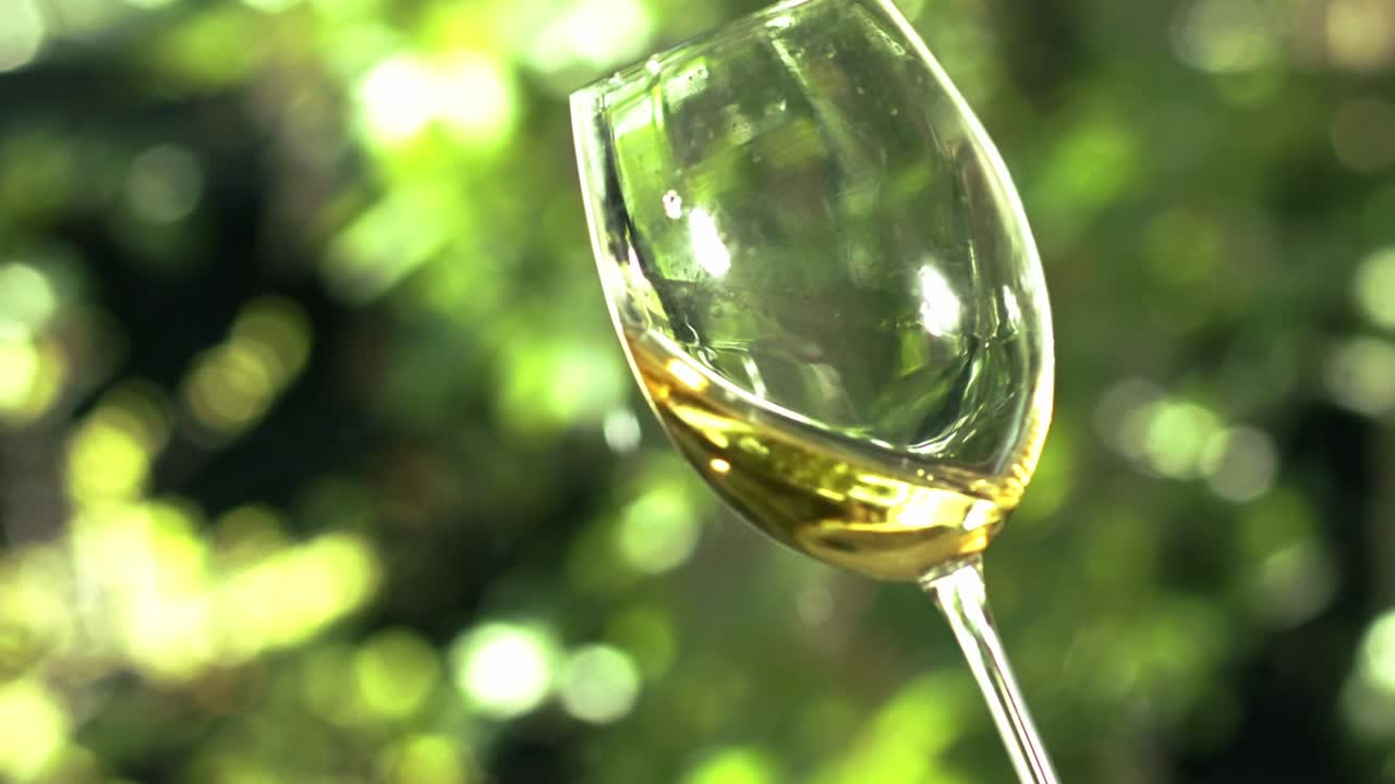 vino blanco en una copa de cristal con un jardín verde al fondo-2