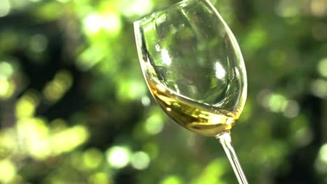 Vino-Blanco-En-Una-Copa-De-Cristal-Con-Un-Jardín-Verde-Al-Fondo-2