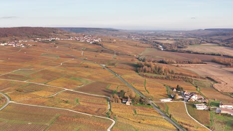 Luftdrohne-Sonnenuntergang-Überführung-Weinberge-In-Der-Nähe-Von-Épernay-Frankreich-Herbst