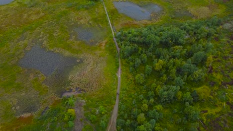 top down high altitude aerial dronw view of people walking on a dirt road or a wooden plank hiking road in sweden nature while bogs and marshlands surround them during a cloudy day. forest visible too