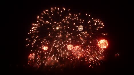 espectáculo de fuegos artificiales por la noche sobre un fondo negro.