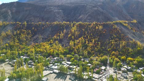 Vista-Aérea-De-Los-árboles-Otoñales-En-La-Ladera-Del-Valle-De-Skardu.