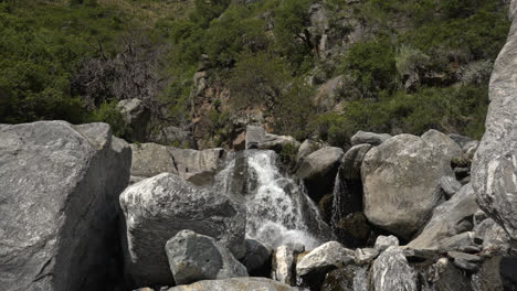 una cascada en la montaña con un hermoso bosque detrás en cámara lenta
