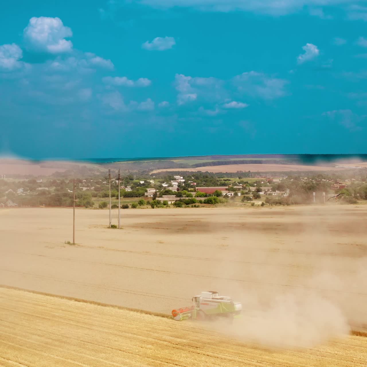 Wheat farm with combine harvester. Harvest aerial landscape of combine harvester cutting summer wheat field crop