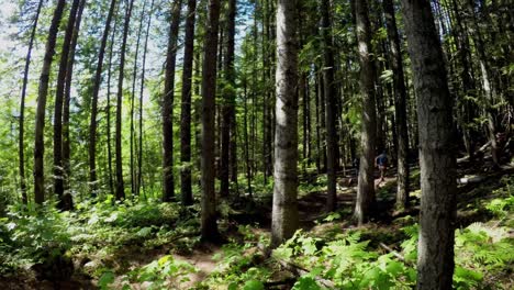 pareja corriendo en el bosque 4k