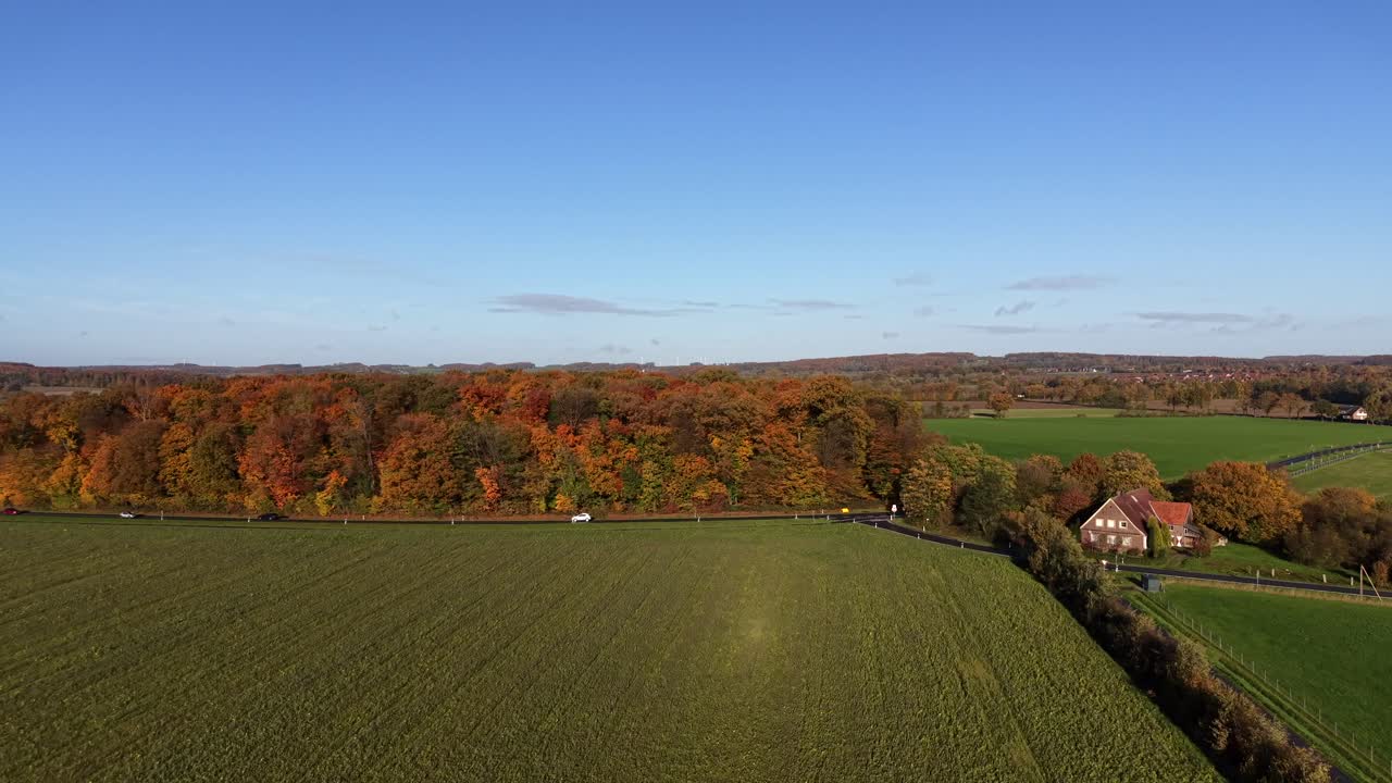 Aerial rising shot of sunflower field on sunny day in autumn season. Wide shot. Driving cars on suburb road of town. Multicolored trees of forest woodland in USA