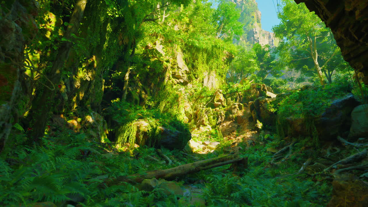 빛으로 가득 찬 푸른 정글