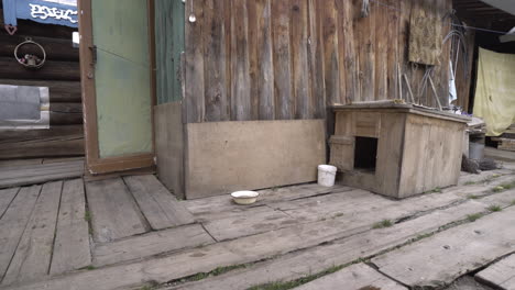 dog house in a rustic wooden house exterior