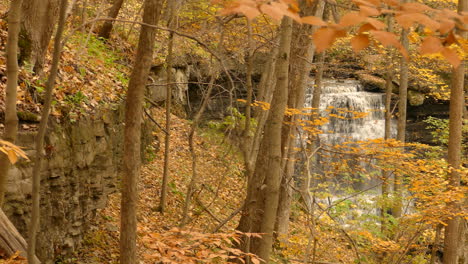 Majestic-forest-waterfall-is-hidden-behind-golden-autumn-tree-foliage