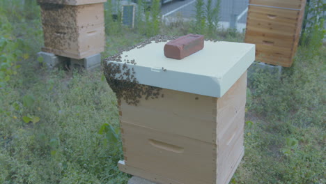 Weite-Aufnahme-Des-Bienenstocks-Eines-Imkers