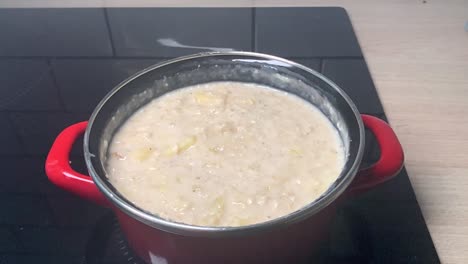 burbujas saliendo de una papilla de avena hirviendo con manzanas