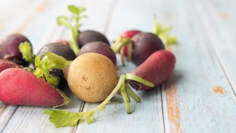 assortment of colorful radishes on a wooden surface