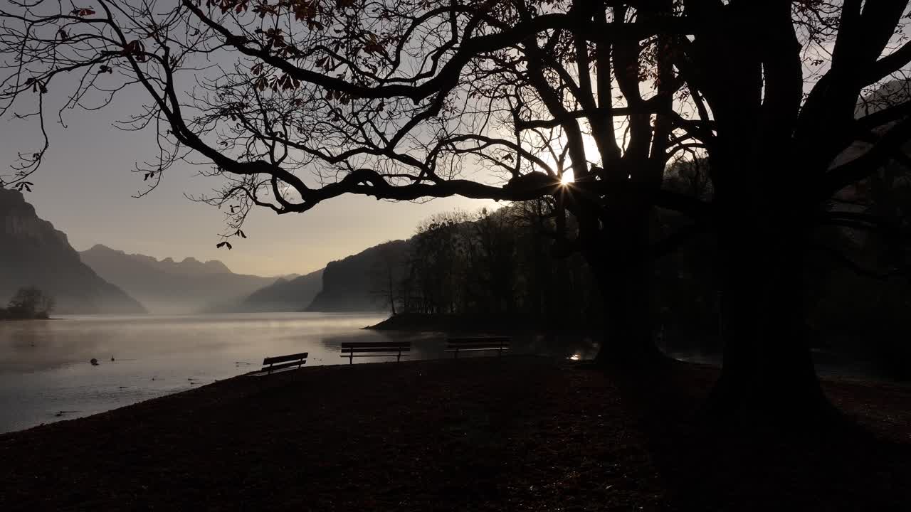 Sunlight filters through tree branches by Walensee with misty mountains in the background