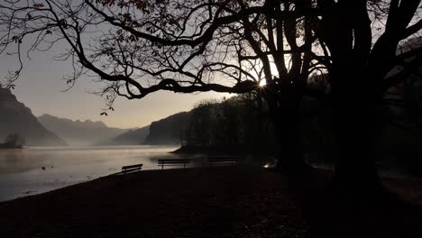 sunlight filters through tree branches by walensee with misty mountains in the background