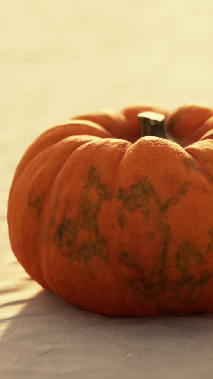 익은 호박 의 클로즈업