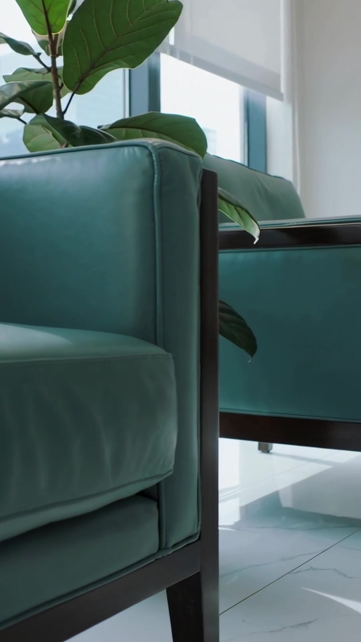 Video verticale: Telecamera che si sposta a destra, una poltrona verde acqua sulla sinistra che entra in vista con sedia, fico e finestra.