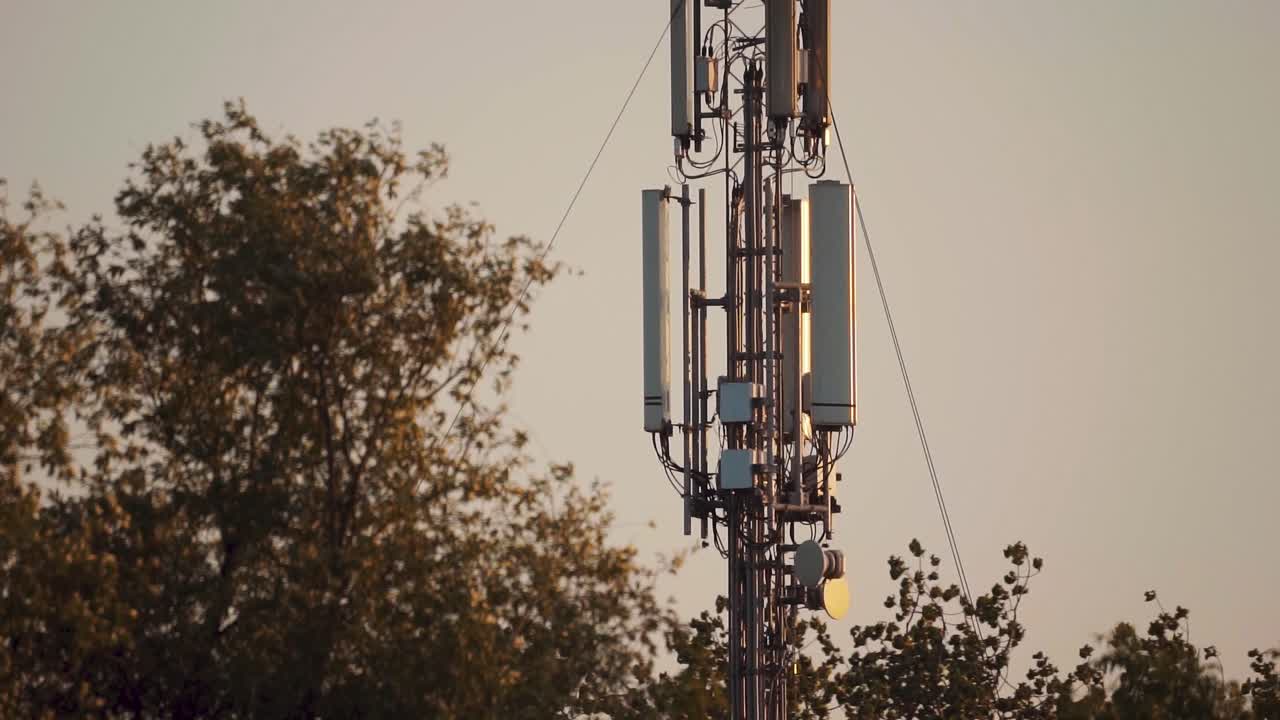 vista del mástil de telecomunicaciones móviles con árboles desenfocados en primer plano