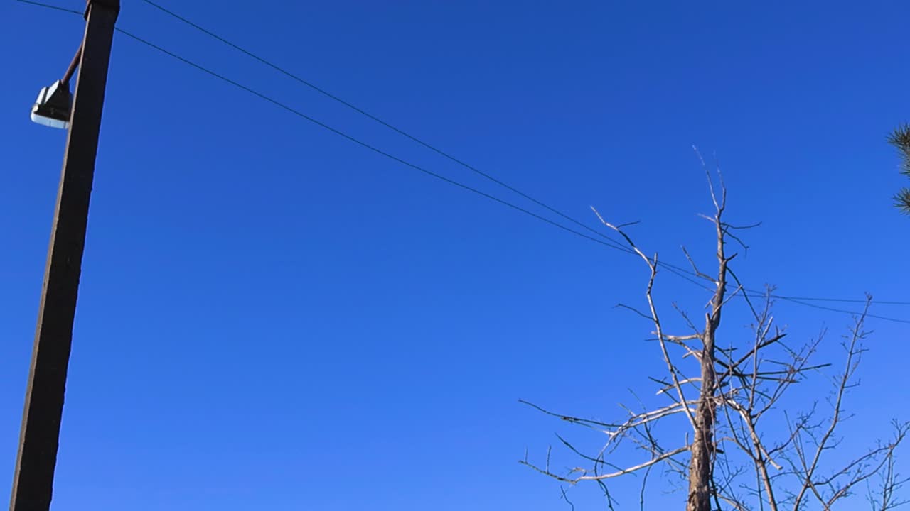 Farligt væltet træ, der hviler på højspændingsledninger efter en kraftig storm, med en klar blå himmel i baggrunden, hvilket skaber en farlig situation for elnettet.
